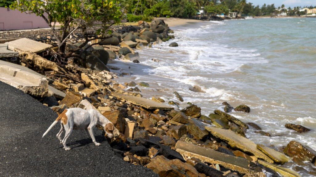 Levantamiento costero y reactivación de fallas en el litoral de Cedros